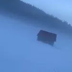 Mira