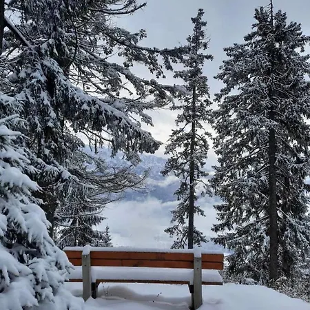 Mira Apartment Bad Mitterndorf