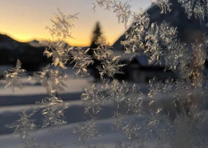 Апартаменты Mira *