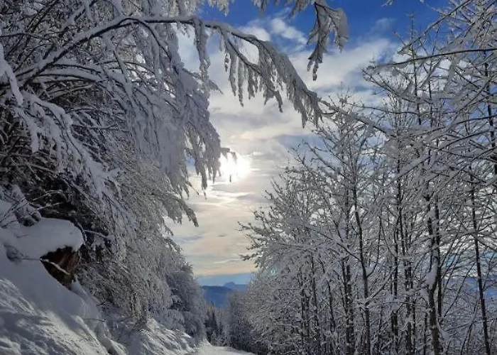 Апартаменты Mira